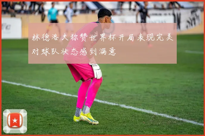 林德洛夫称赞世界杯开局表现完美对球队状态感到满意