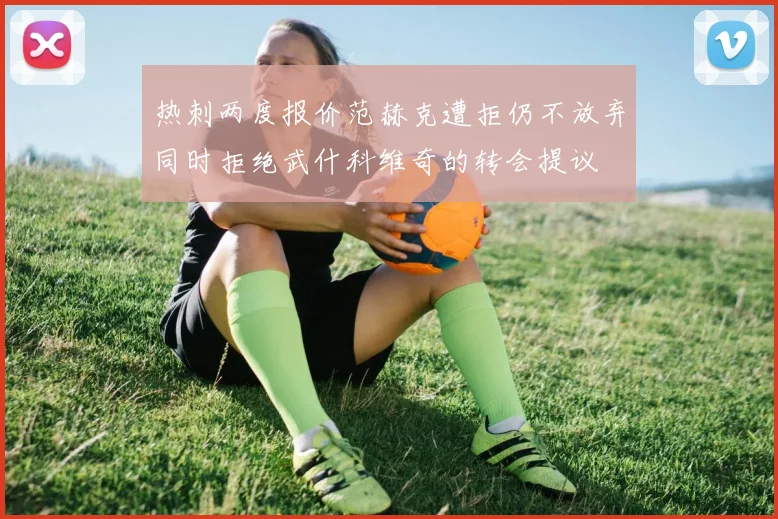 热刺两度报价范赫克遭拒仍不放弃同时拒绝武什科维奇的转会提议
