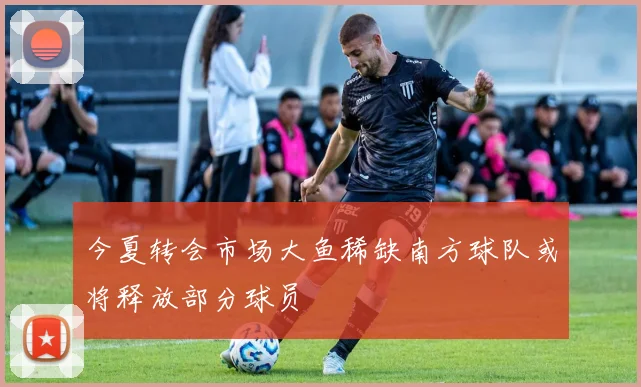 今夏转会市场大鱼稀缺南方球队或将释放部分球员